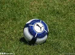 中国体育产,业迈向未来,十年,爱游戏app,爱游戏官网,爱游戏体育官网,爱游戏体育app